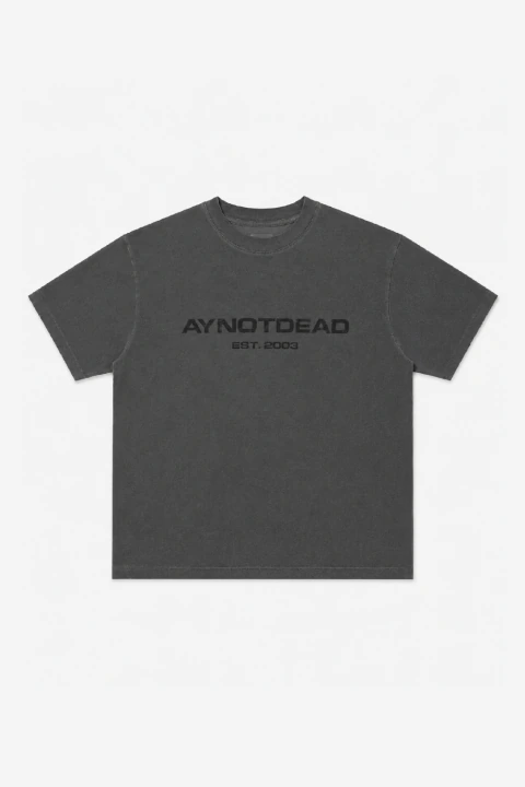 Remera logo negrido